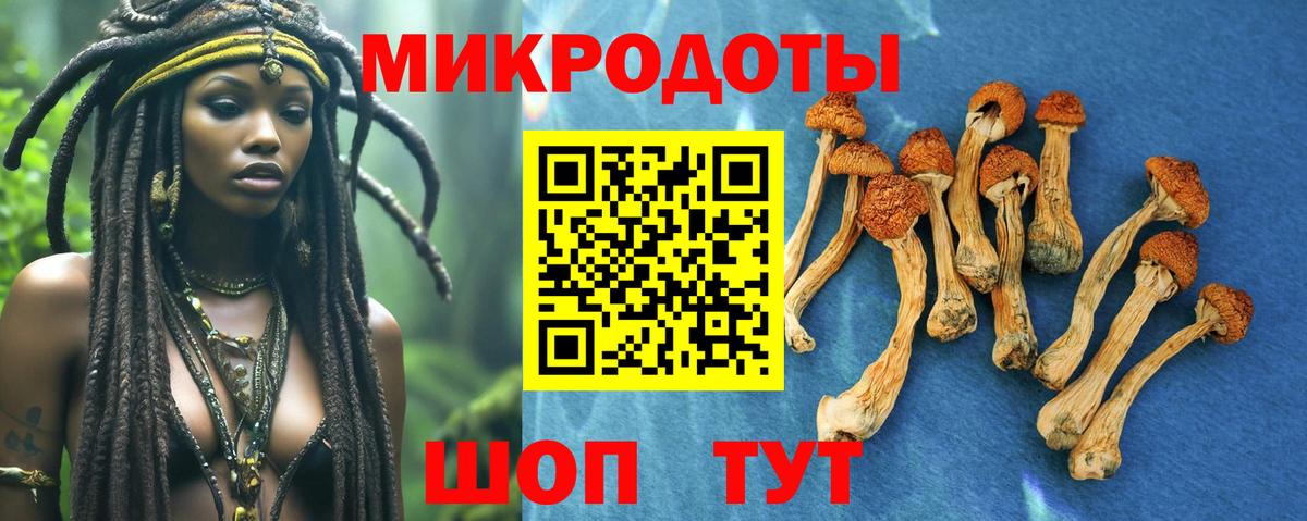 Псилоцибиновые грибы Psilocybine cubensis  Вход с VPN  Егорьевск 