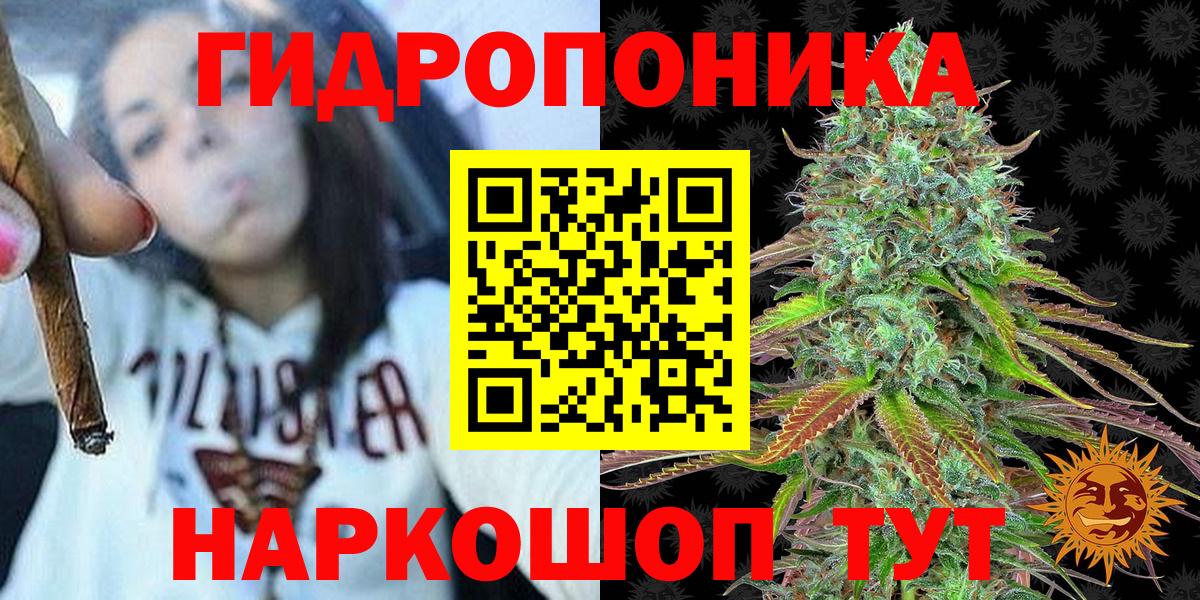 Бошки марихуана SATIVA & INDICA  Каннабис индика  Бошки марихуана марихуана  Егорьевск  Вход с VPN 